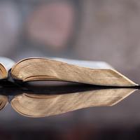 Logo for Adult Sunday School Class