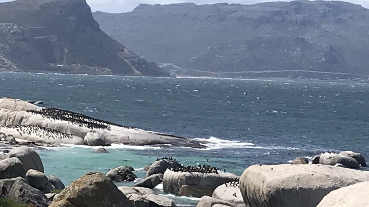 Logo for Carlton & Mamie Little