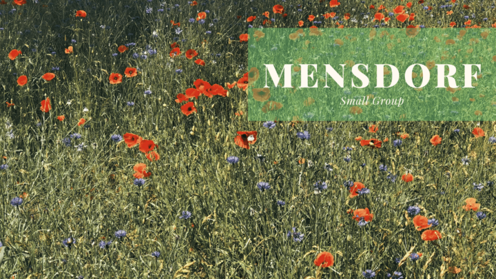 Logo for Mensdorf Small Group
