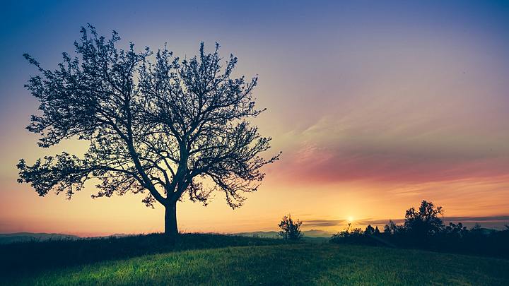 Logo for Chittum's Lighthouse (Dave & Sonya)