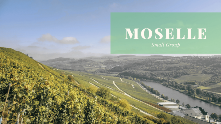 Logo for Moselle Small Group