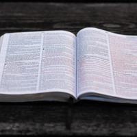 Logo for Men's Bible Study