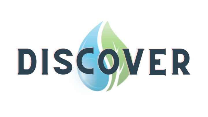 Logo for DISCOVER