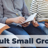 Logo for Adult Small Group