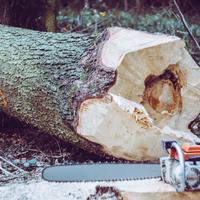 Logo for Chainsaw Ministry