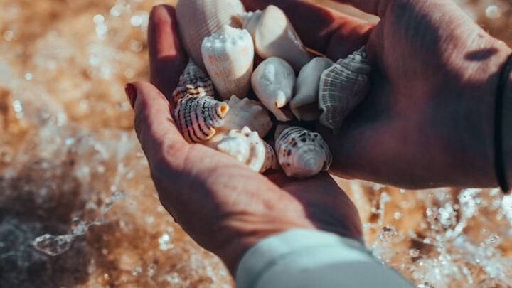 Logo for Langley - Adults (Simon and Mary Yuen)