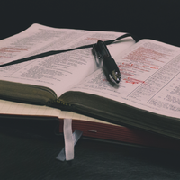 Logo for Co-Ed Bible Study