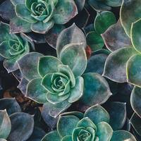 Logo for Mark Zotz's Group