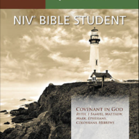 Logo for Christian Sisters