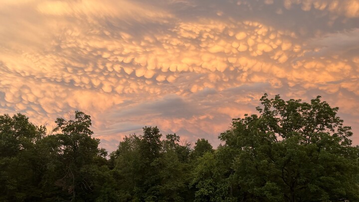 Logo for Ambler Home Group