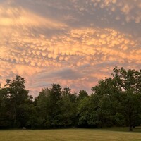 Logo for Ambler Home Group