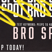 Logo for BRO SPOT MEET UPS