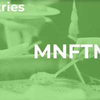 Logo for MNFTM