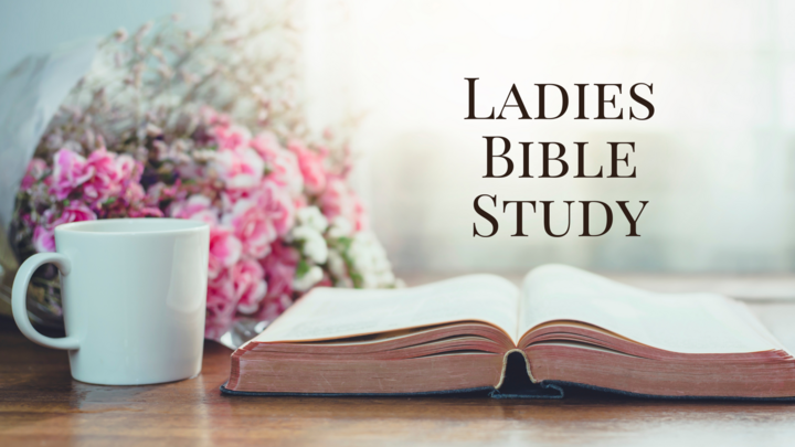 Logo for Ladies Bible Study