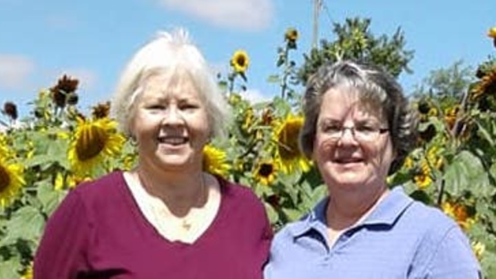 Logo for Debbie Norbutas