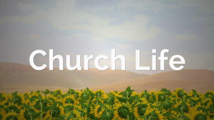 Logo for Church Life