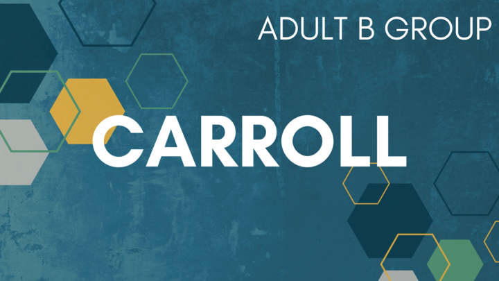 Logo for Carroll B Group