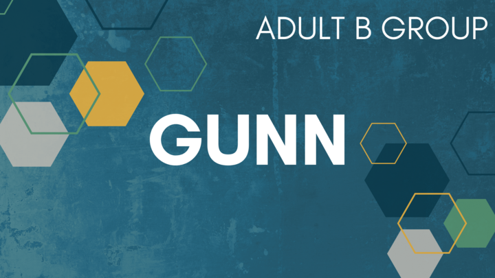 Logo for Gunn B Group