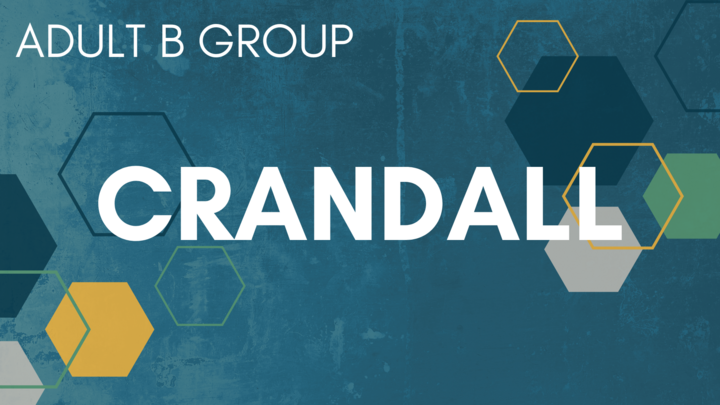 Logo for Crandall B Group