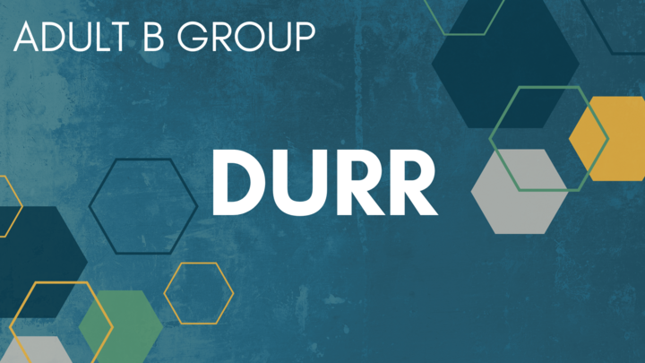 Logo for Durr B Group