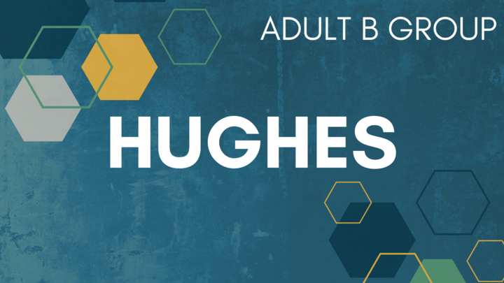 Logo for Hughes B Group