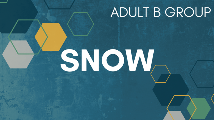 Logo for Snow B Group