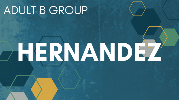 Logo for Hernandez B Group