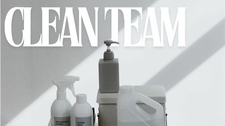 Logo for Clean Team