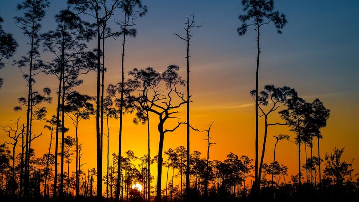 Logo for The Gospel Project