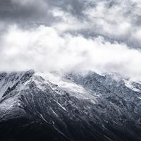 Logo for Community Group - Foxworthy/San Jose - Leader: Olson