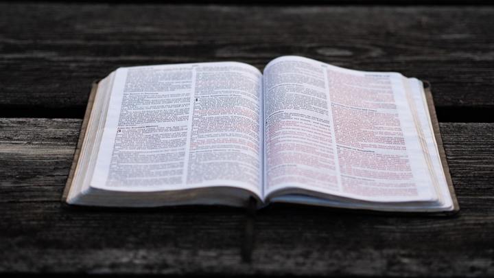 Logo for The Open Word