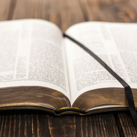 Bible Study