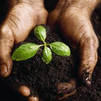 Stewardship Ministry