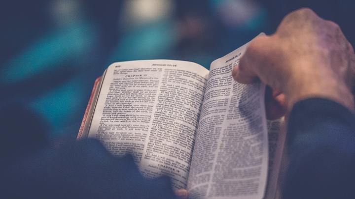 Logo for Texts & Contexts Bible Study