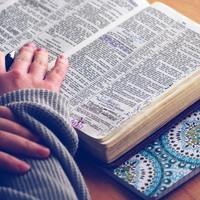 Logo for Bennett VioletGroup