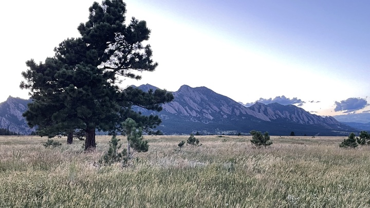 Logo for Luyk/Oltrogge Group