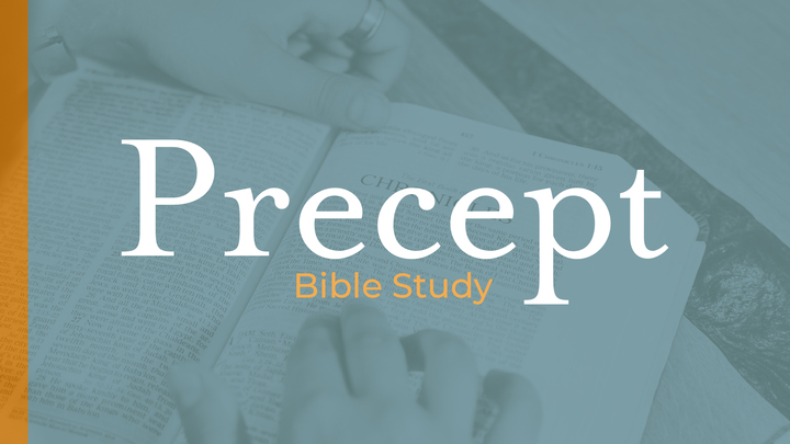 Logo for Precept