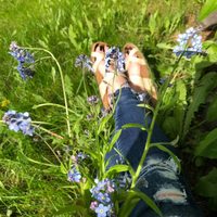 Logo for Homeschooling Mom's Social Group