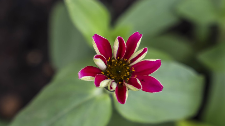 Logo for Saturday Morning Women's Oasis