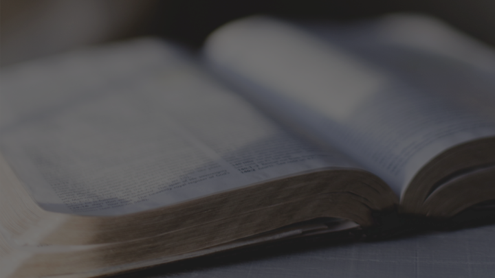 Logo for Sunday Morning Bible Study