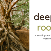 Logo for Deeper Roots