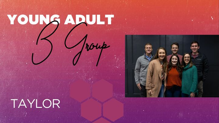 Logo for Taylor B Group