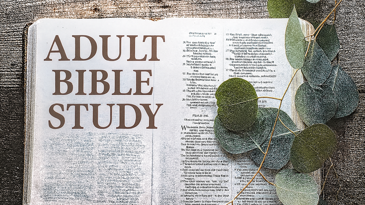 Logo for Adult Bible Study • Friday Afternoon