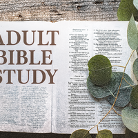 Logo for Adult Bible Study • Friday Afternoon