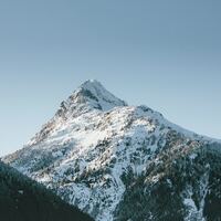 Logo for Davies MCG • Garibaldi Highlands