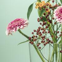 Logo for Boston Ladies' Small Group