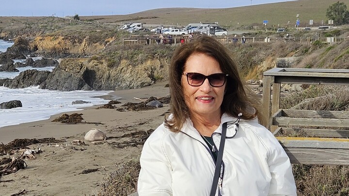 Logo for Debbie Lowrey