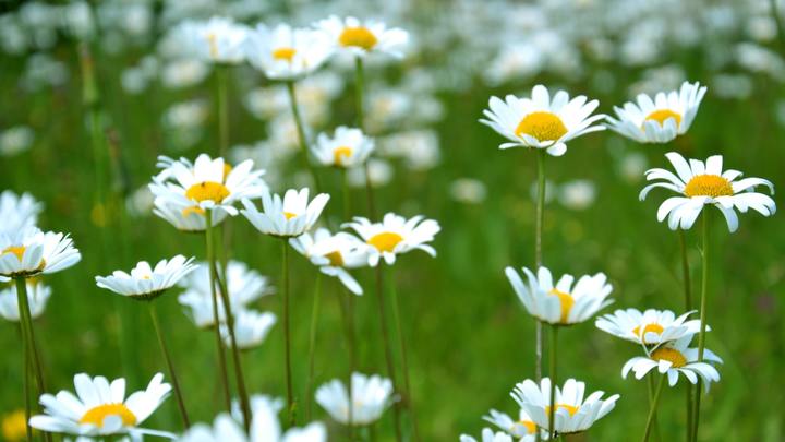 Logo for Thursday Night Ladies Bible Study