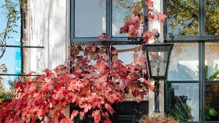 Logo for Larrondo's Community Group