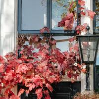 Logo for Larrondo's Community Group